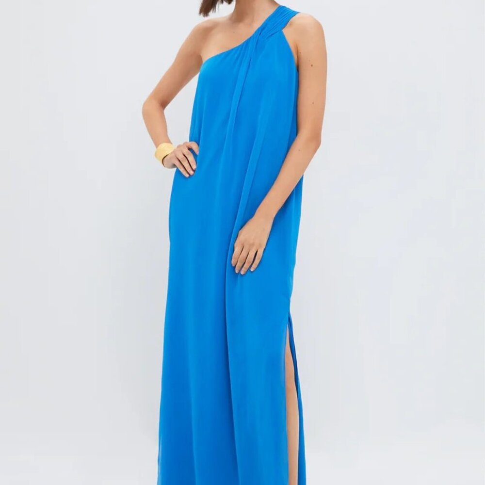 Tuckernuck Baleine Blue Soleil Gown